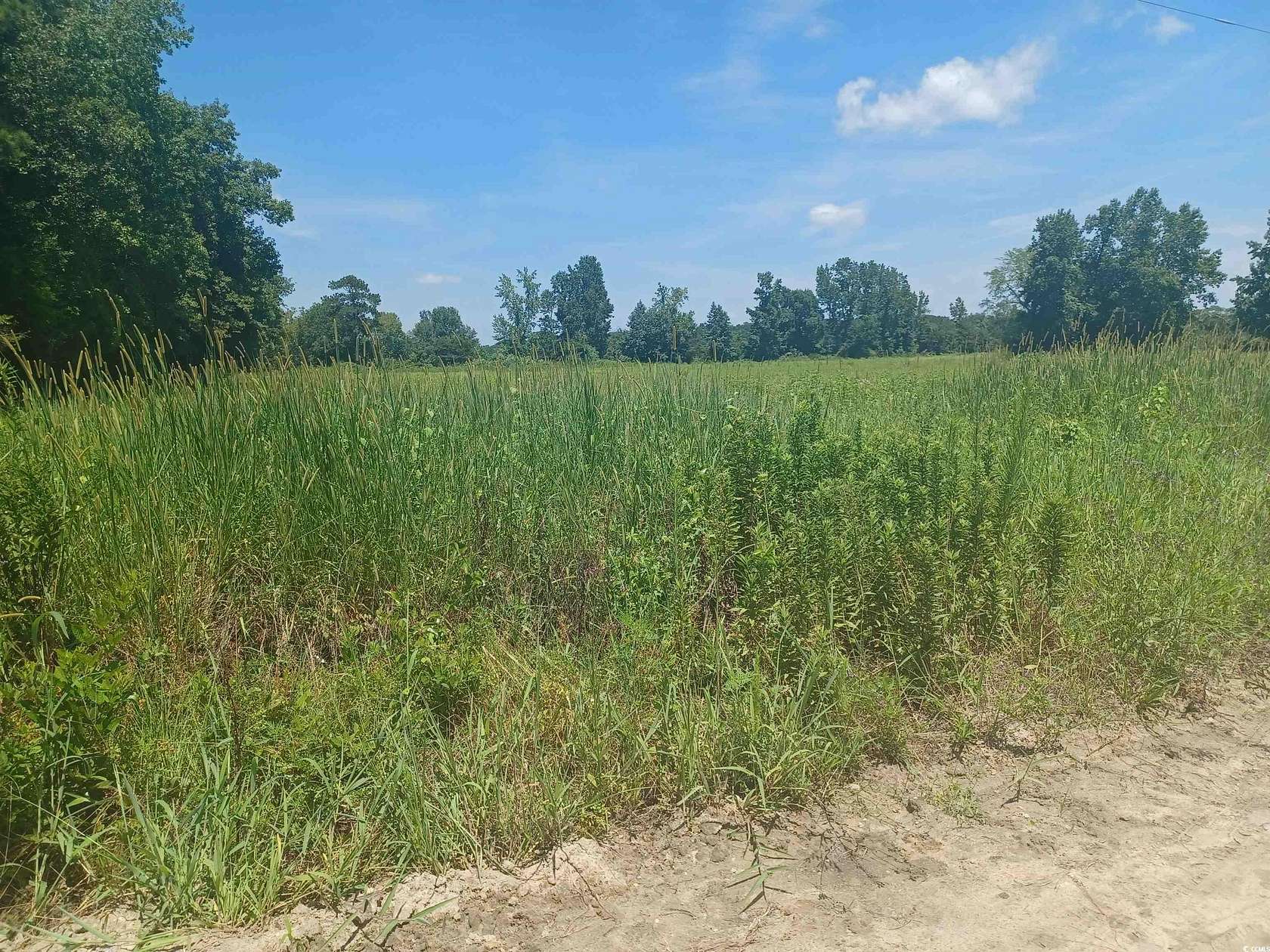 3.41 Acres of Residential Land for Sale in Mullins, South Carolina