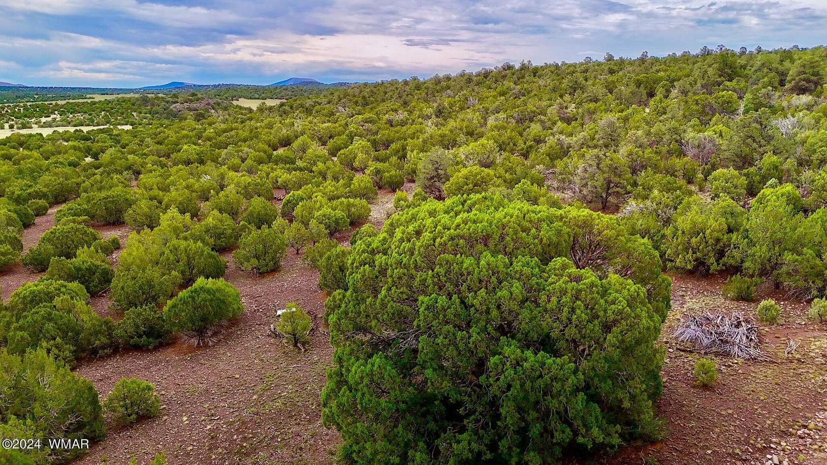 9.24 Acres of Residential Land for Sale in Vernon, Arizona