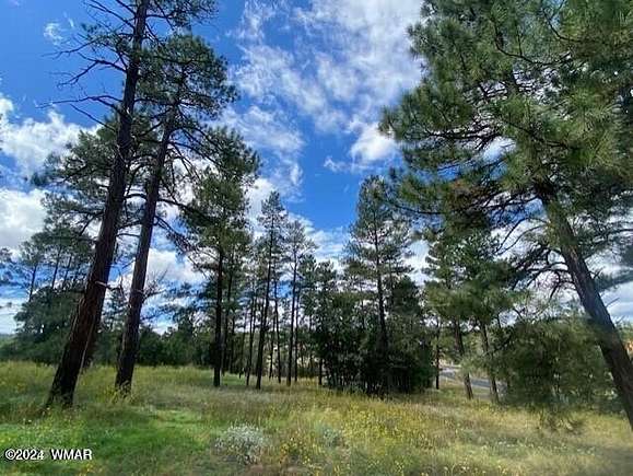 0.4 Acres of Residential Land for Sale in Show Low, Arizona