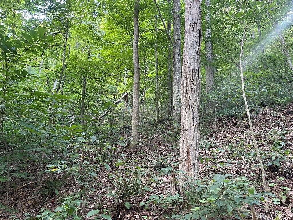 13.5 Acres of Recreational Land for Sale in Abingdon, Virginia