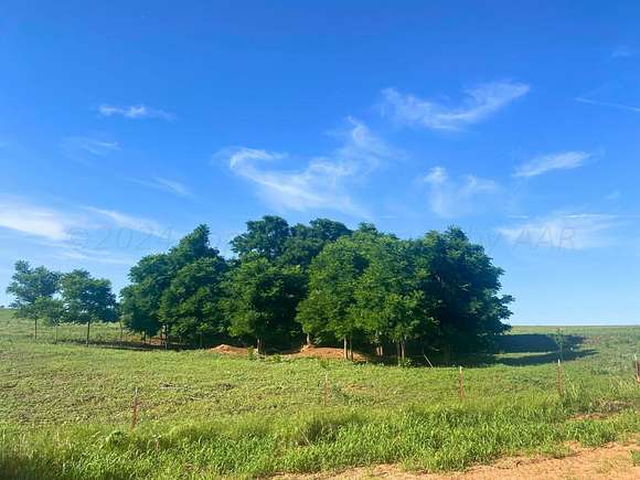 120 Acres of Agricultural Land for Sale in Camargo, Oklahoma