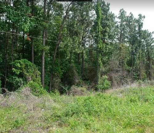 17.6 Acres of Commercial Land for Sale in Augusta, Georgia