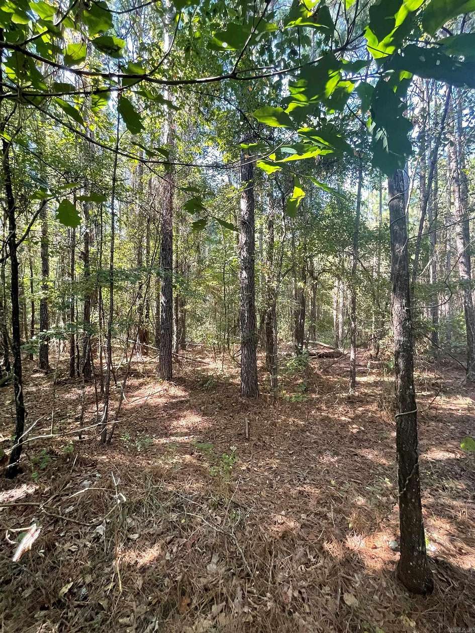 100 Acres of Recreational Land for Sale in Hampton, Arkansas