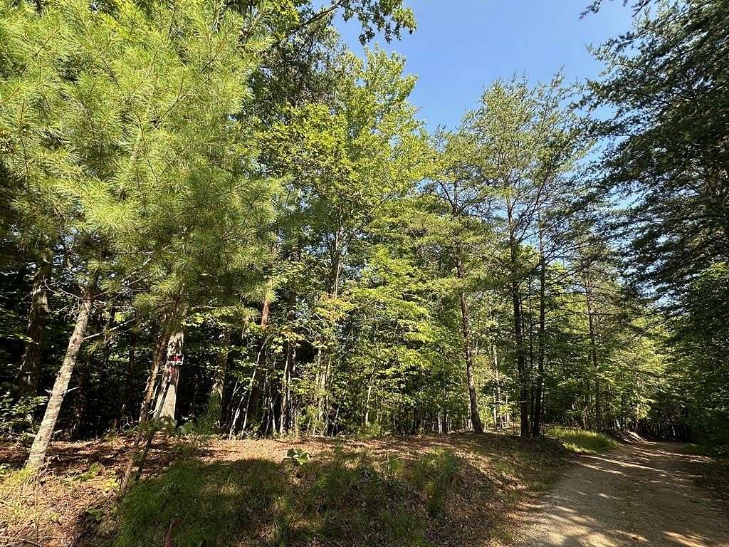 3.03 Acres of Land for Sale in Mineral Bluff, Georgia