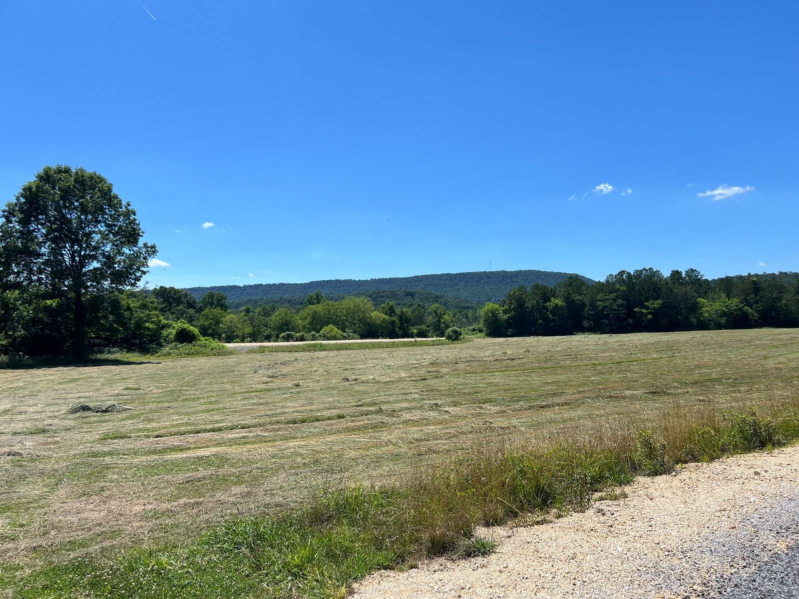 45 Acres of Improved Land for Sale in Attalla, Alabama