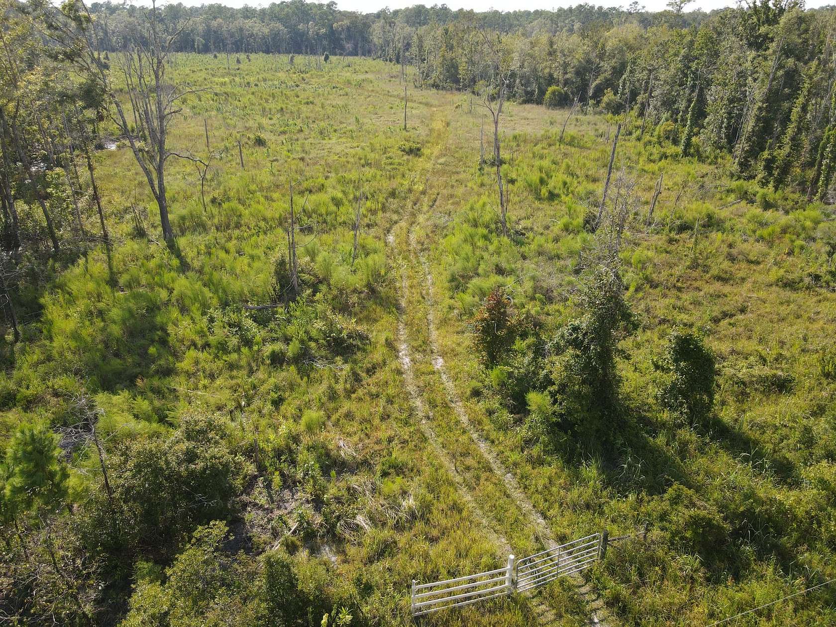 77.8 Acres of Land for Sale in Greenville, Florida