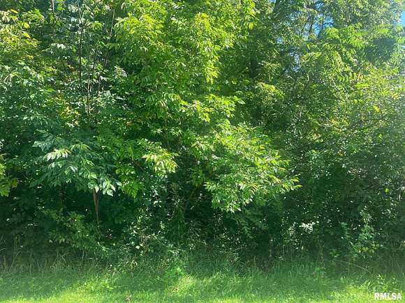 0.395 Acres of Residential Land for Sale in Mackinaw, Illinois