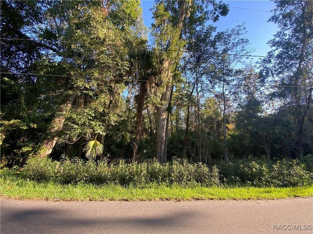 0.3 Acres of Residential Land for Sale in Homosassa, Florida