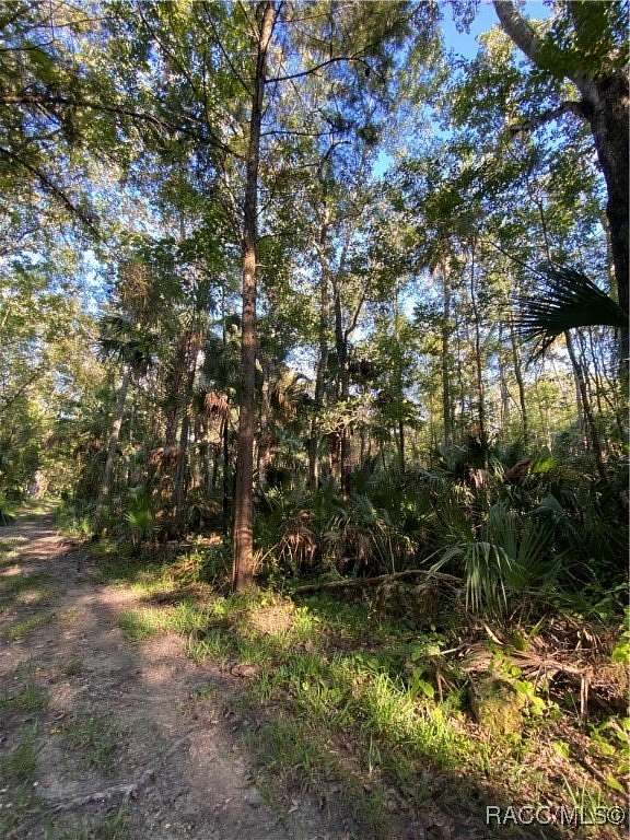 0.6 Acres of Residential Land for Sale in Homosassa, Florida