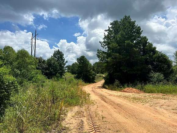 39.1 Acres of Recreational Land for Sale in Waynesboro, Mississippi