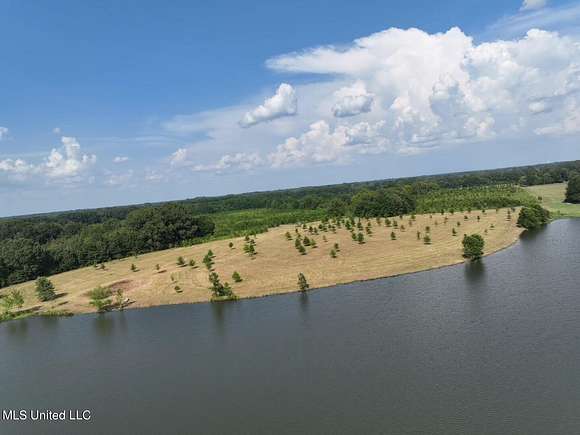 28 Acres of Land for Sale in Madison, Mississippi