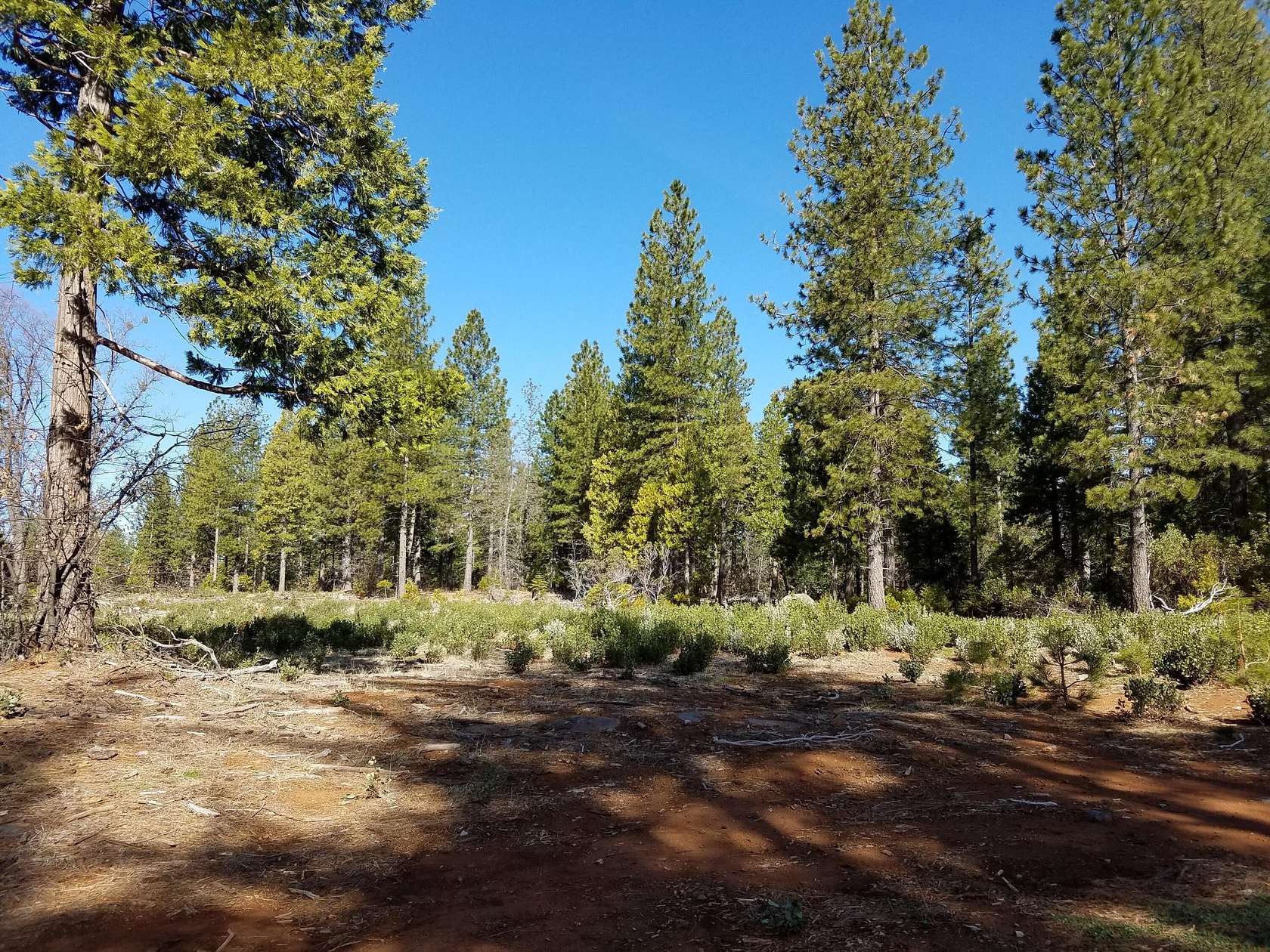 116.26 Acres of Recreational Land for Sale in Shingletown, California