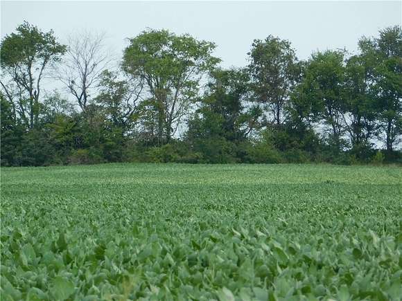 80 Acres of Agricultural Land for Sale in Adrian, Missouri