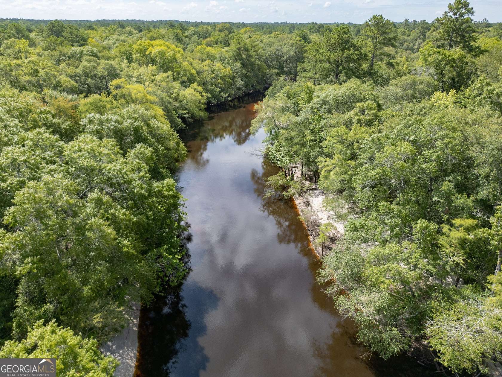 49.19 Acres of Recreational Land for Sale in Lakeland, Georgia