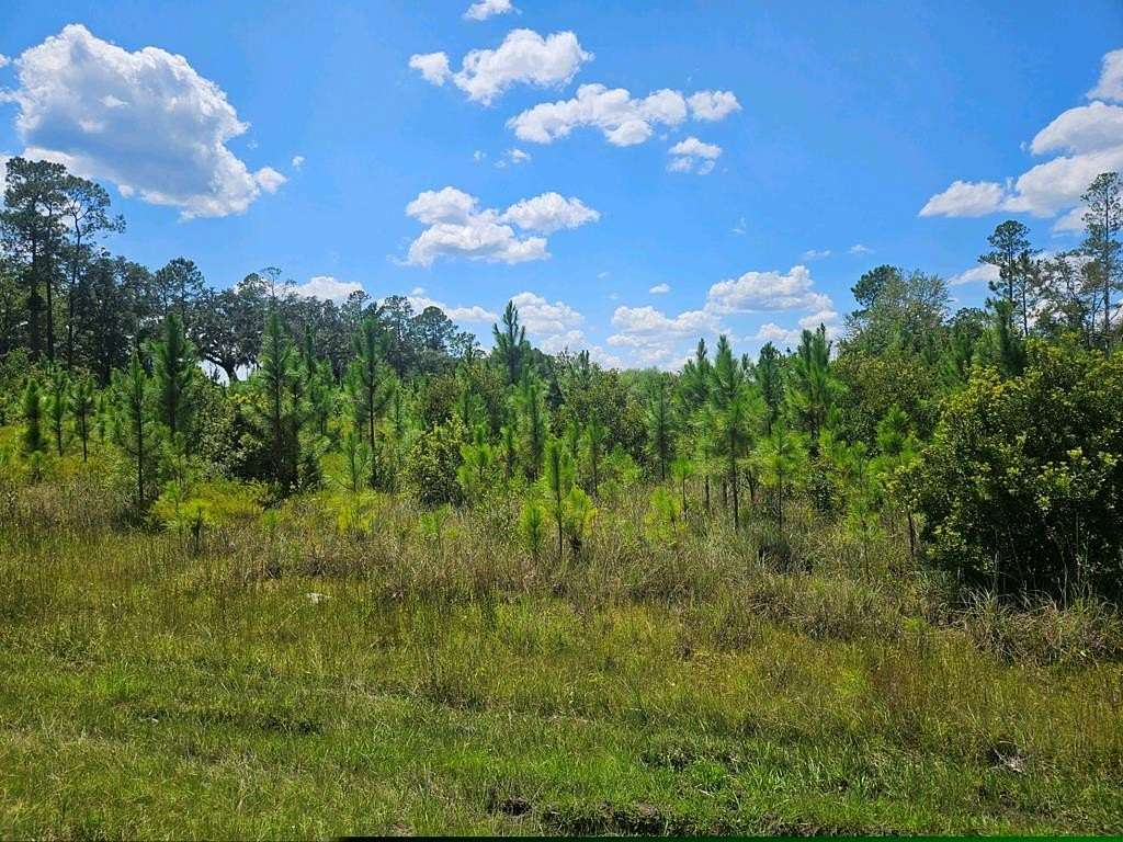 12.92 Acres of Land for Sale in Naylor, Georgia