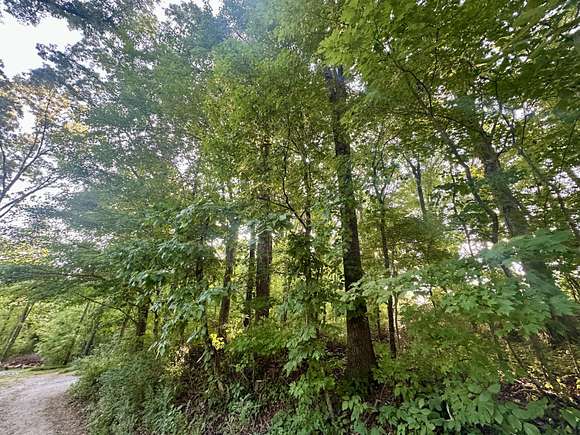 1.1 Acres of Residential Land for Sale in Spring City, Tennessee