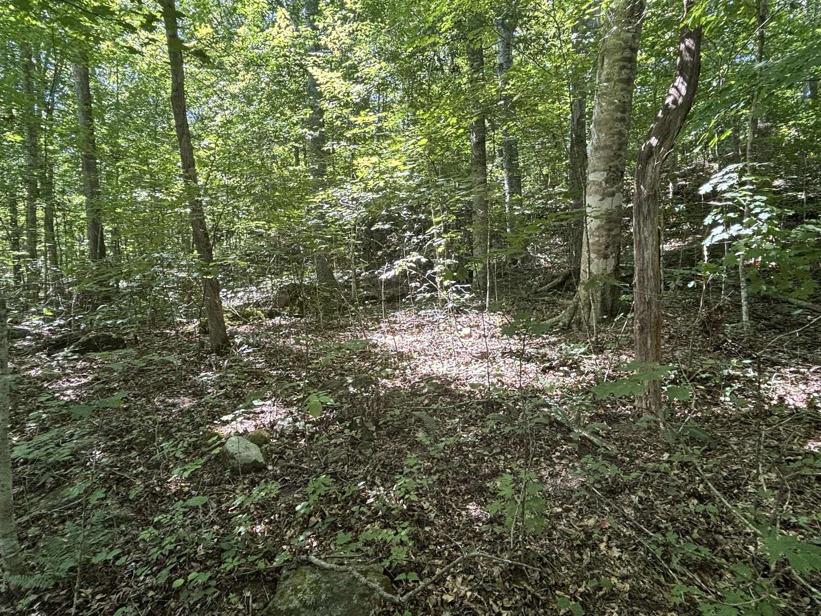 0.51 Acres of Residential Land for Sale in Burnside, Kentucky