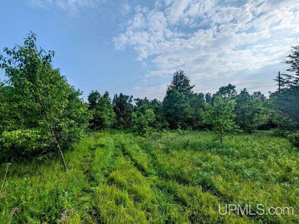 25 Acres of Land for Sale in Iron River, Michigan