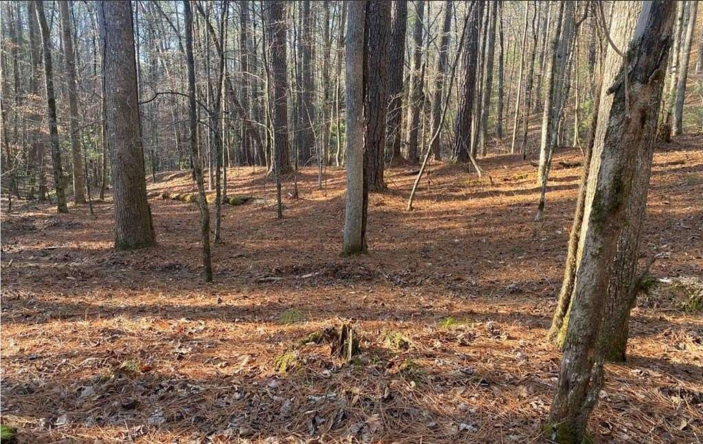 1.6 Acres of Land for Sale in Ellijay, Georgia