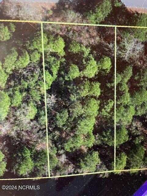 0.44 Acres of Residential Land for Sale in Harrells, North Carolina