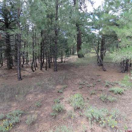 0.25 Acres of Residential Land for Sale in Pagosa Springs, Colorado