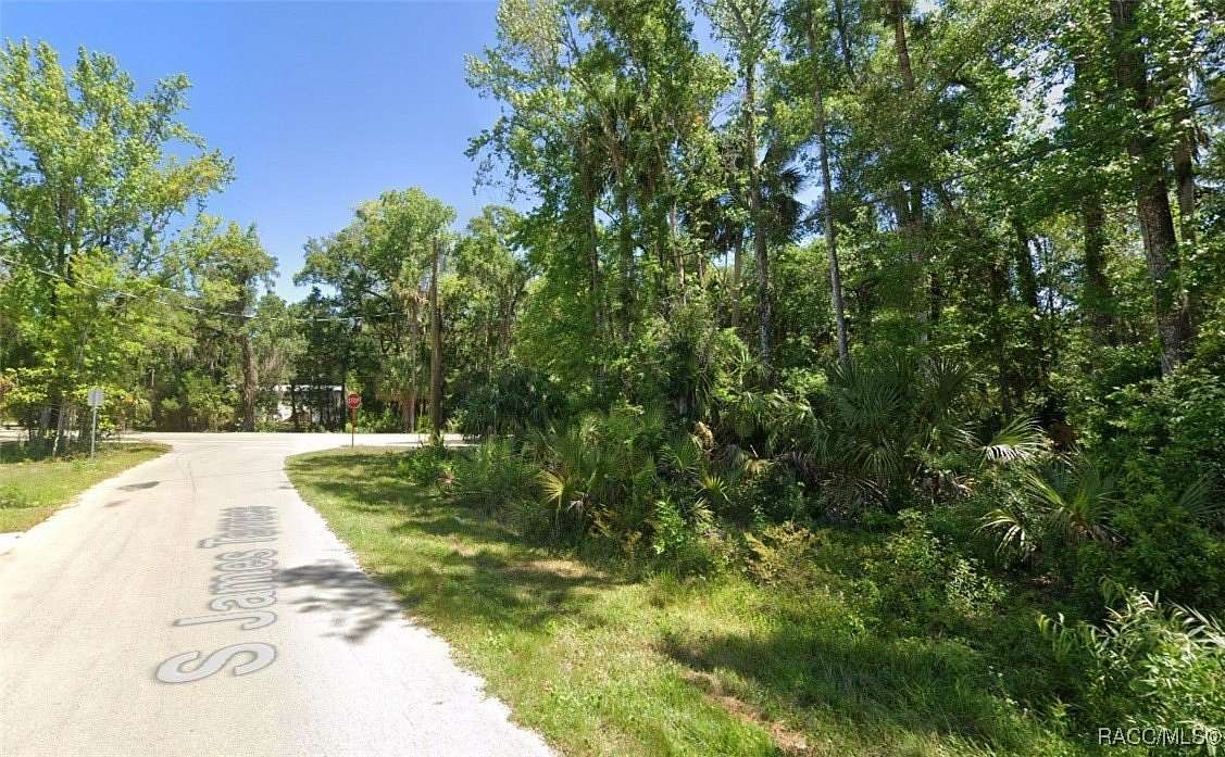 0.29 Acres of Residential Land for Sale in Homosassa, Florida