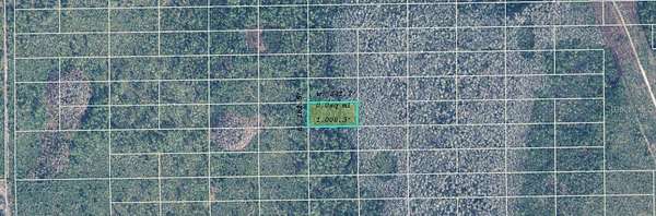 1.3 Acres of Land for Sale in Orlando, Florida