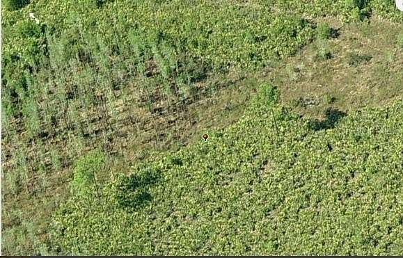 1.24 Acres of Residential Land for Sale in Orlando, Florida