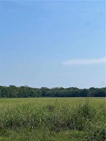 279.9 Acres of Recreational Land & Farm for Sale in Cloutierville, Louisiana