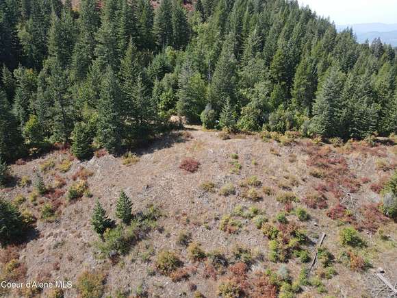 40 Acres of Recreational Land & Farm for Sale in Laclede, Idaho