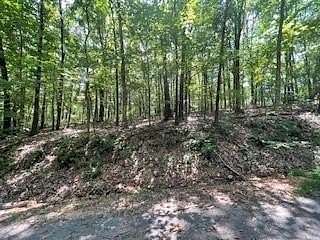 0.23 Acres of Residential Land for Sale in Bella Vista, Arkansas