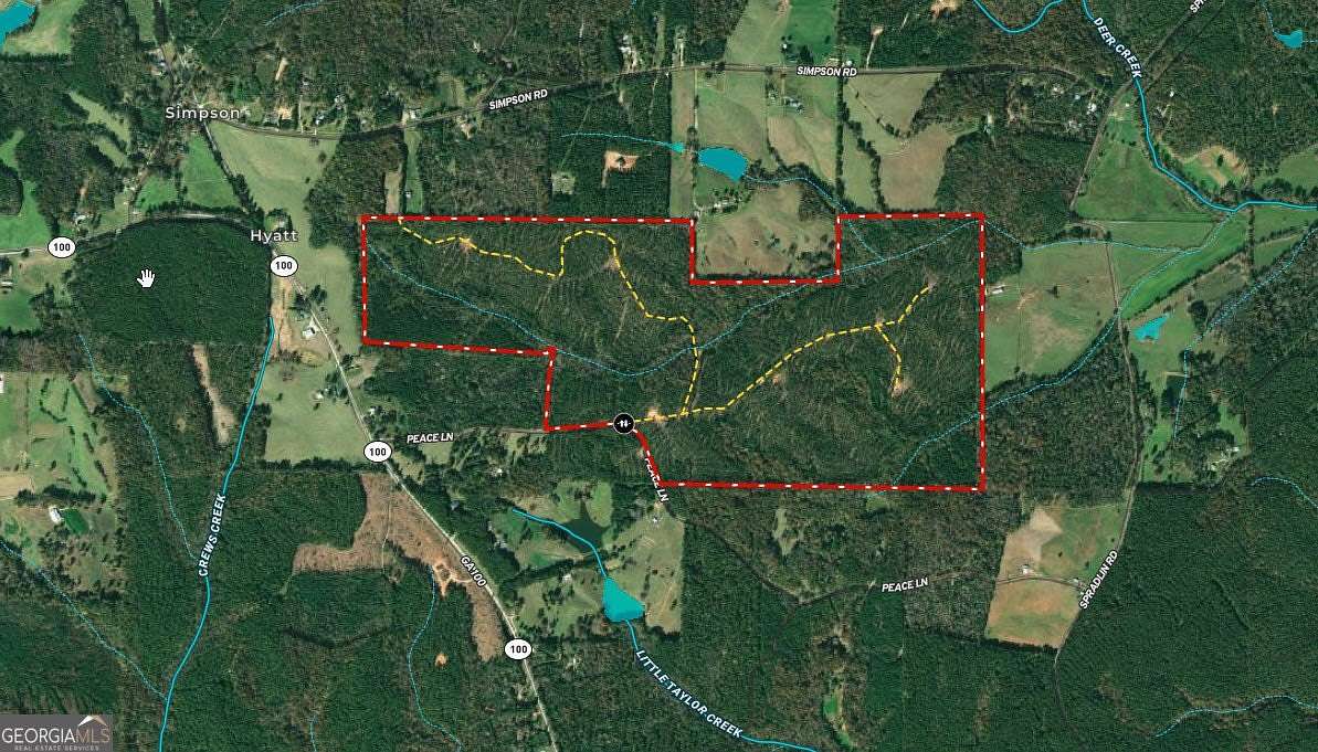 324.51 Acres of Recreational Land for Sale in Franklin, Georgia