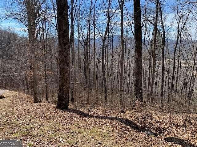 1.22 Acres of Residential Land for Sale in Young Harris, Georgia