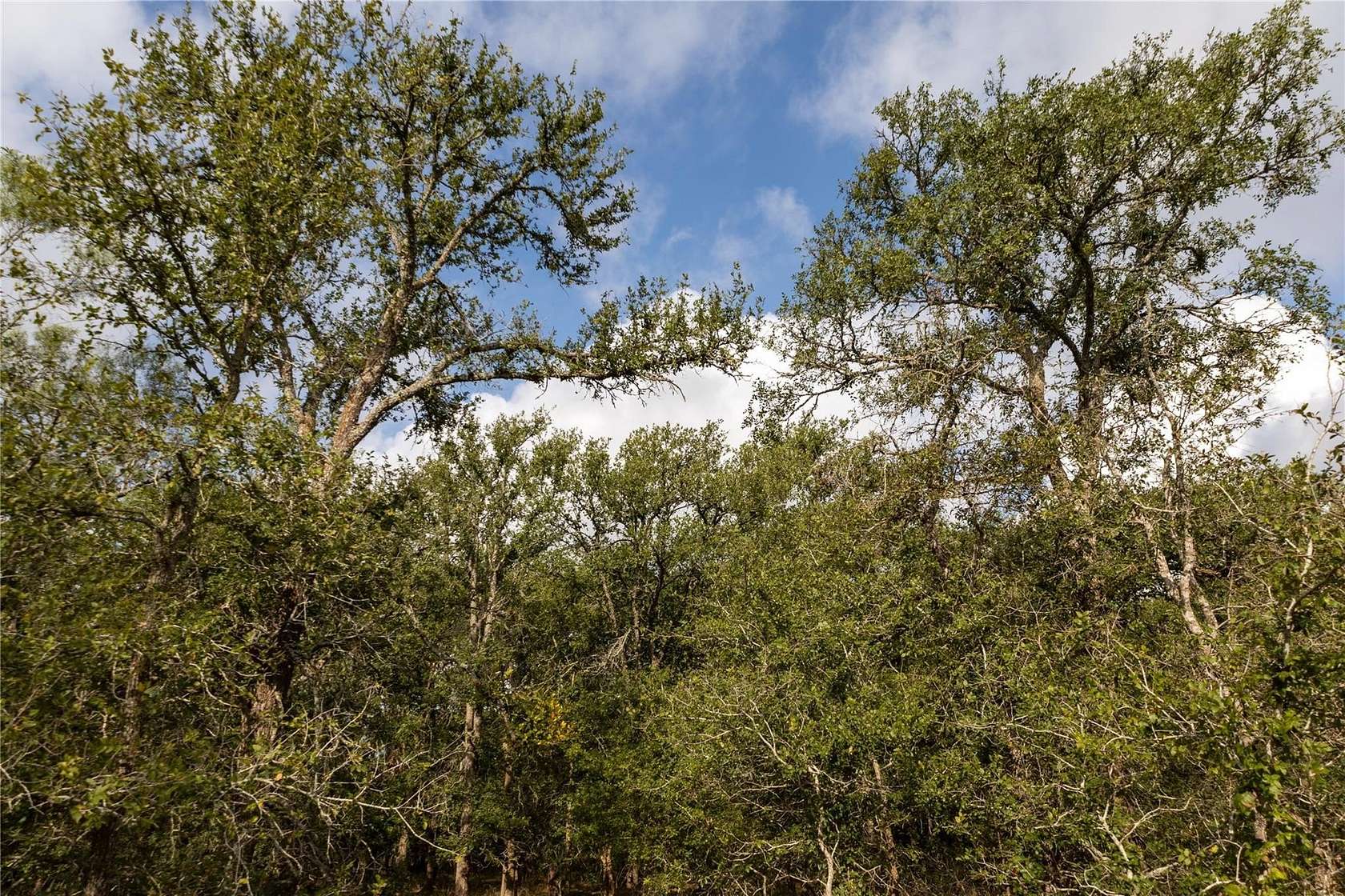 2.62 Acres of Land for Sale in Lockhart, Texas