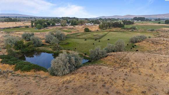 29.88 Acres of Agricultural Land for Sale in Prosser, Washington