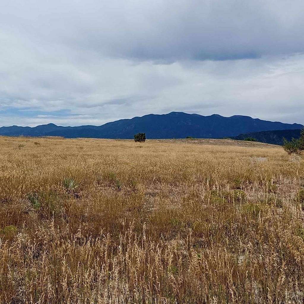 0.286 Acres of Residential Land for Sale in Colorado City, Colorado