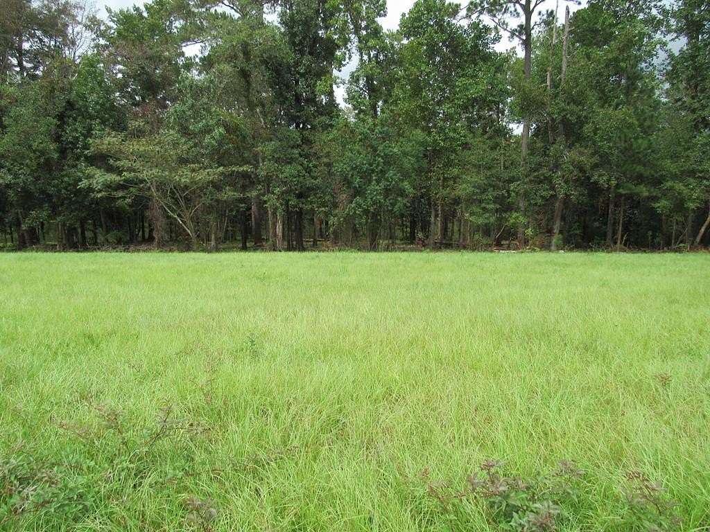 Residential Land for Sale in Eufaula, Alabama