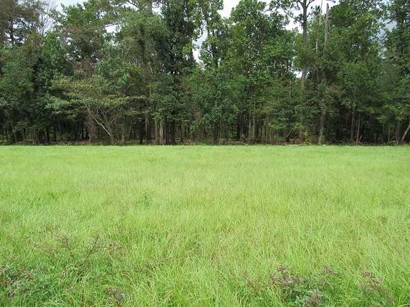 Residential Land for Sale in Eufaula, Alabama