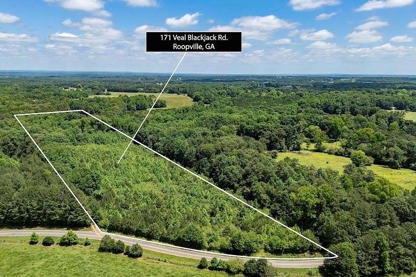 9.37 Acres of Land for Sale in Roopville, Georgia