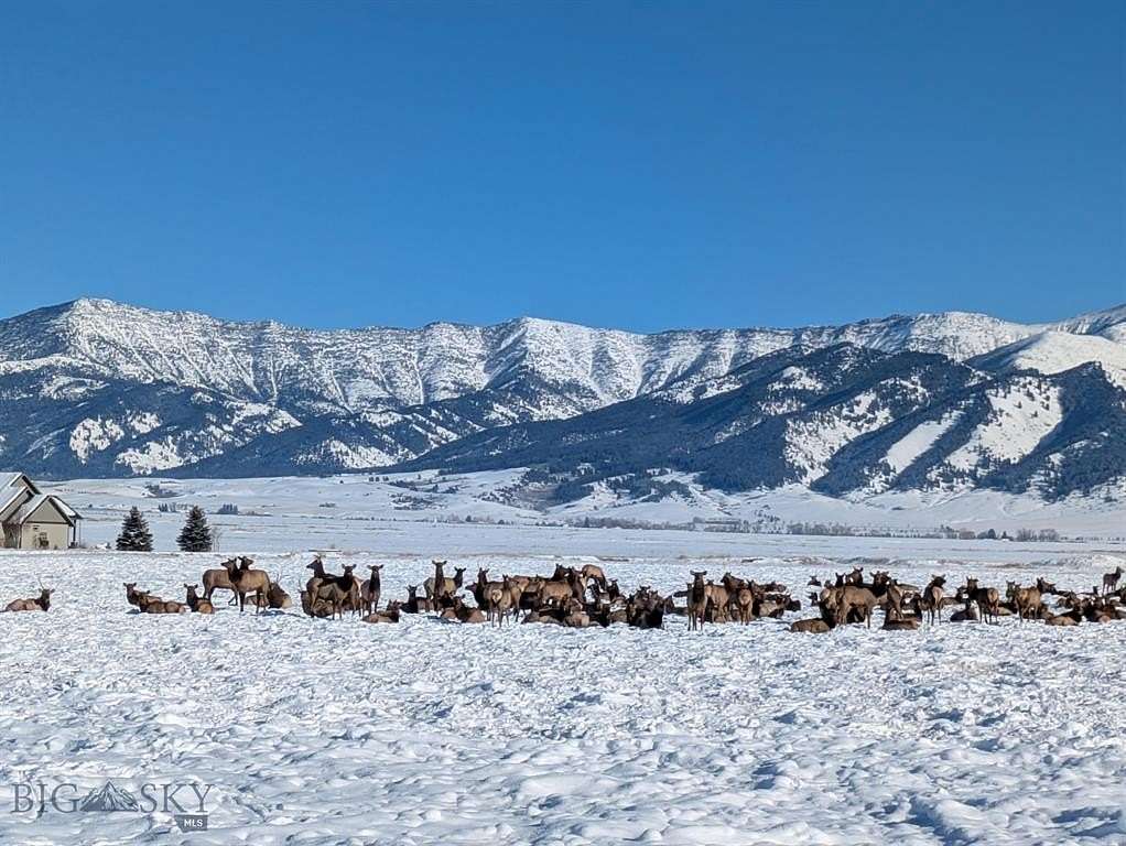 313.44 Acres of Improved Land for Sale in Belgrade, Montana