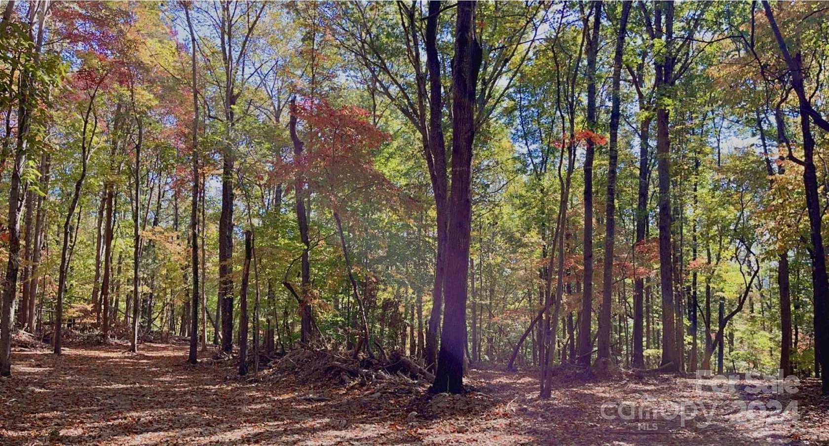 16.88 Acres of Land for Sale in Albemarle, North Carolina