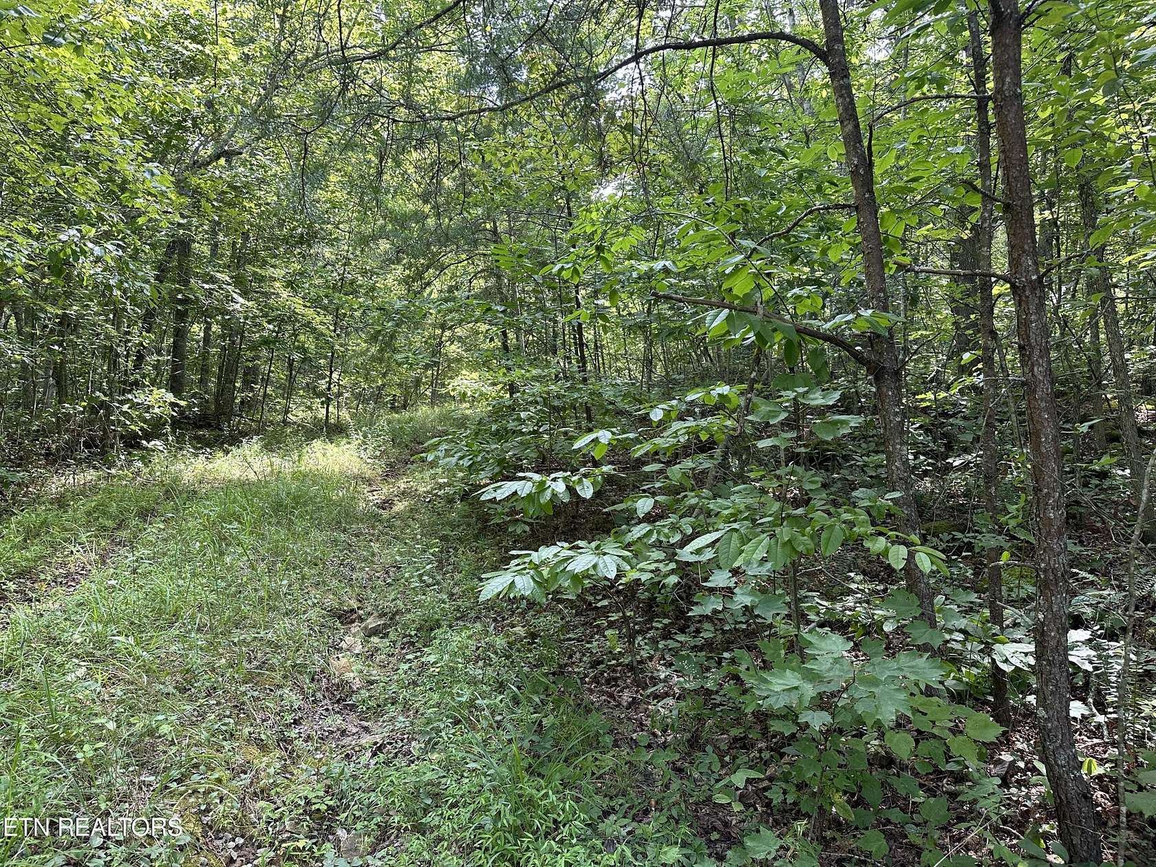 8.35 Acres of Land for Sale in Deer Lodge, Tennessee