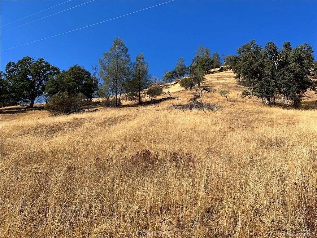 11.1 Acres of Land for Sale in Clearlake Oaks, California