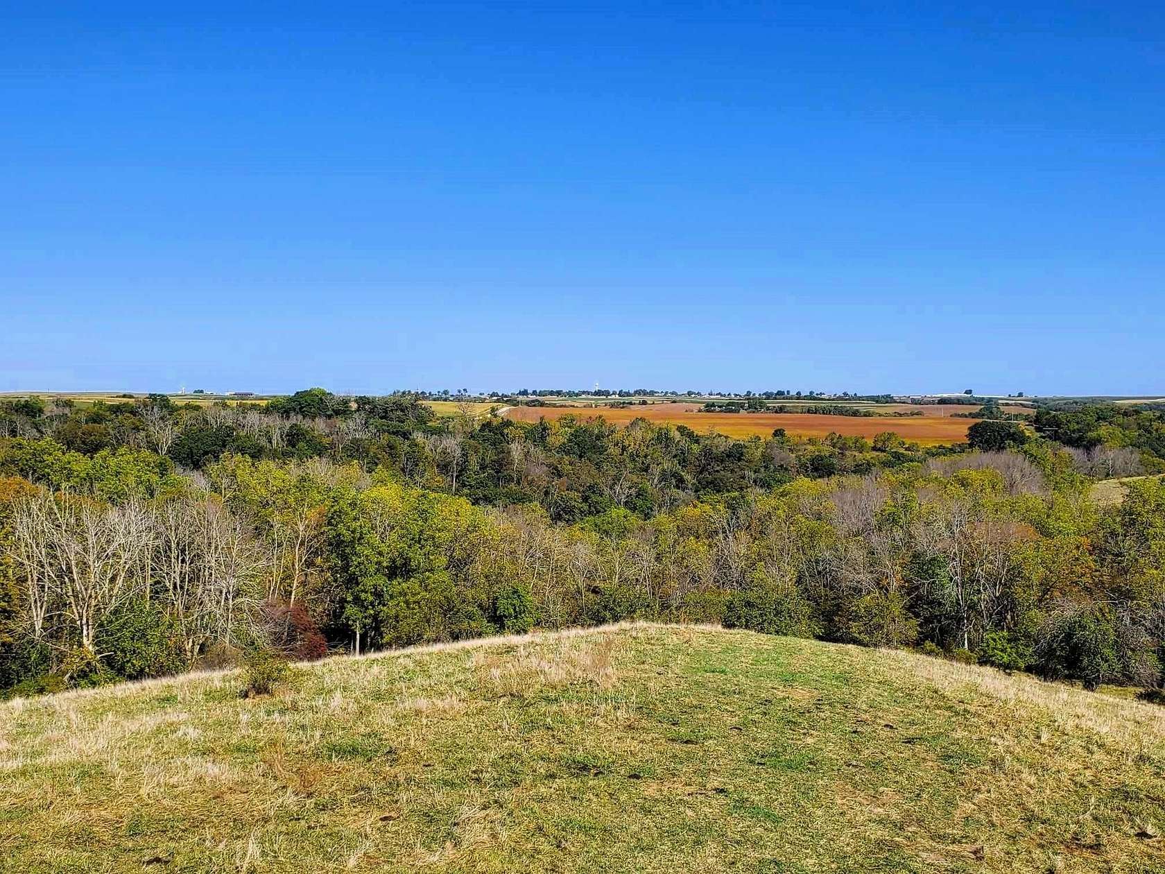 65 Acres of Recreational Land & Farm for Sale in Wauzeka, Wisconsin