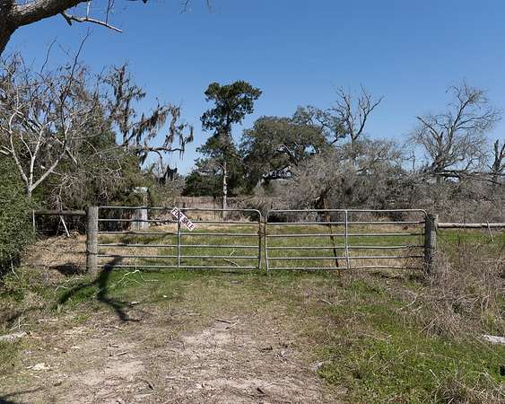 66.2 Acres of Recreational Land & Farm for Sale in Brazoria, Texas