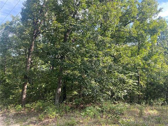 0.25 Acres of Residential Land for Sale in Rocky Mount, Missouri