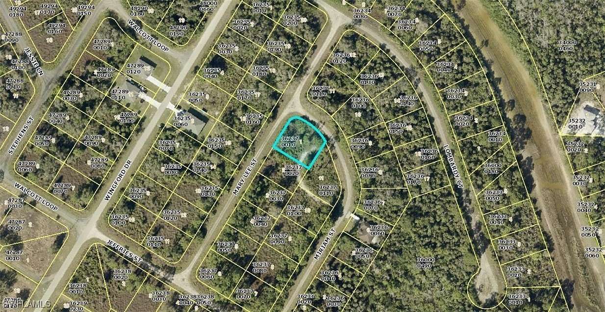 0.317 Acres of Residential Land for Sale in Lehigh Acres, Florida