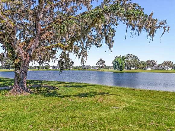 1 Acre of Residential Land for Sale in Dunnellon, Florida