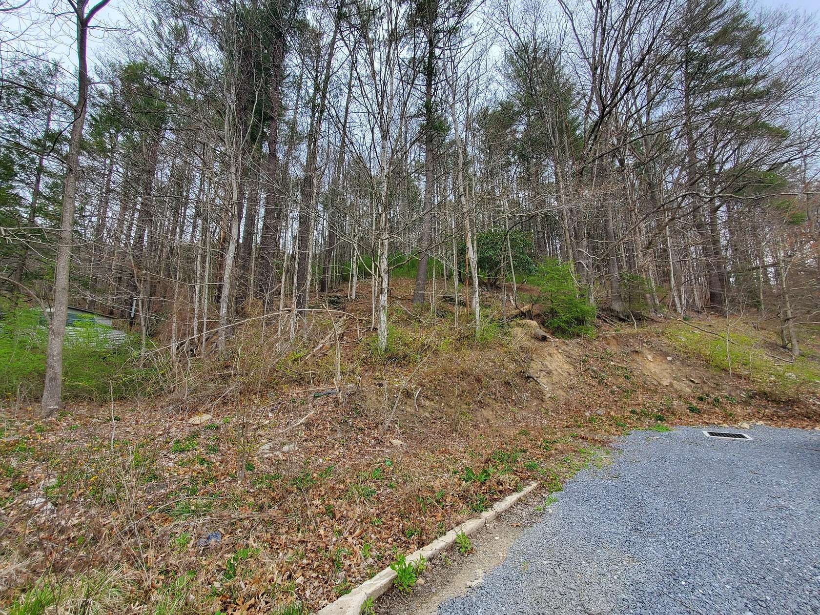 10 Acres of Recreational Land for Sale in Roan Mountain, Tennessee