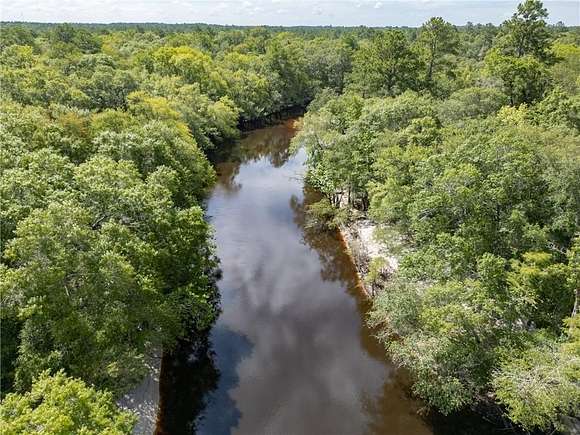 49.19 Acres of Recreational Land for Sale in Lakeland, Georgia